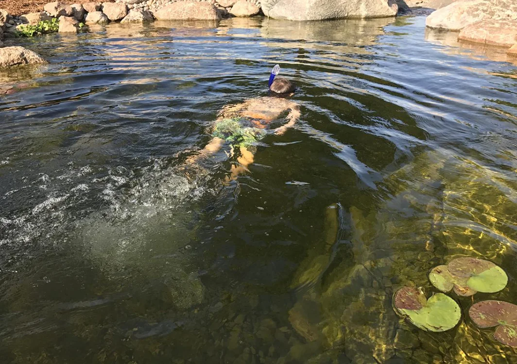 Recreational pond built for swimming
